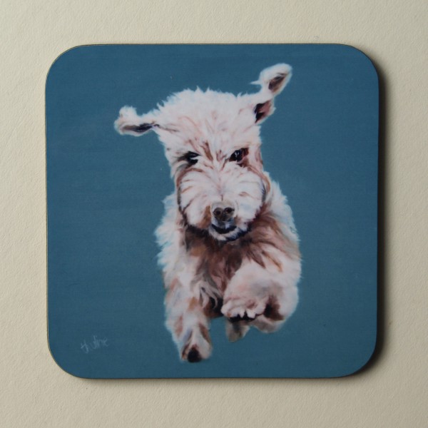Run dog run  coaster