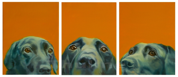 labrador triptich canvas print