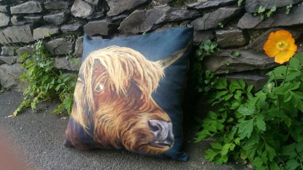 looking through you cushion