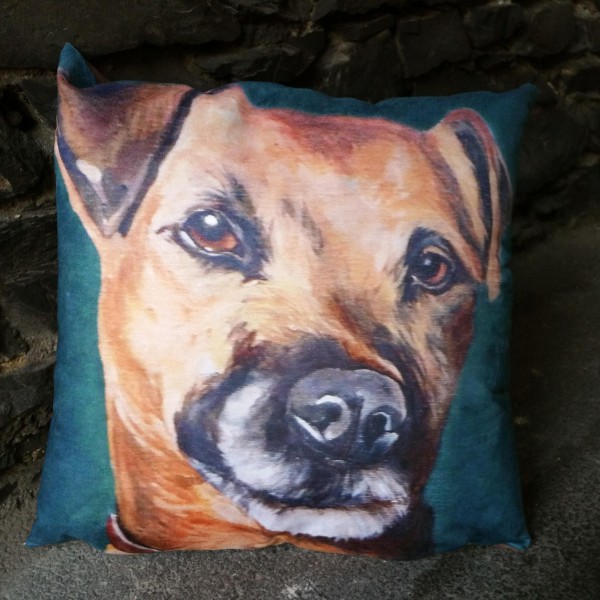roxy, border terrier cushion