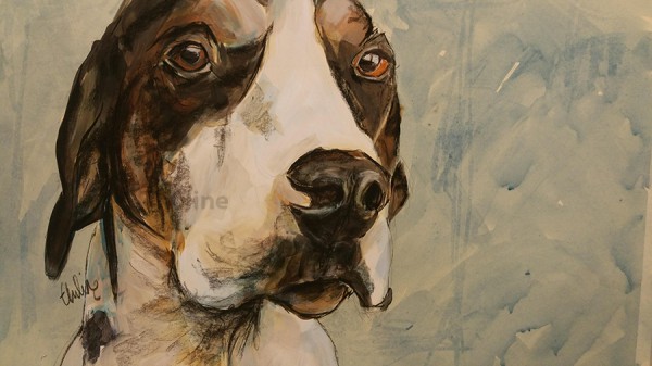 5. Pet portraits in mixed media art workshop