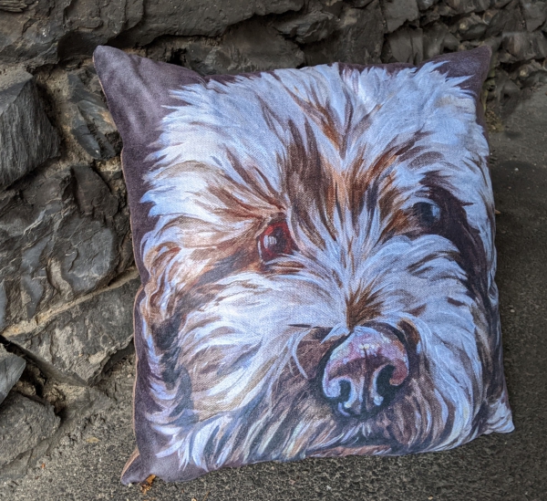 Cockapoo