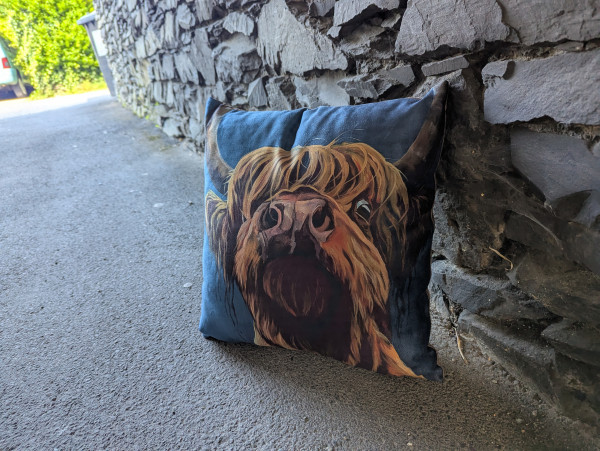 The highland cow way revisited too