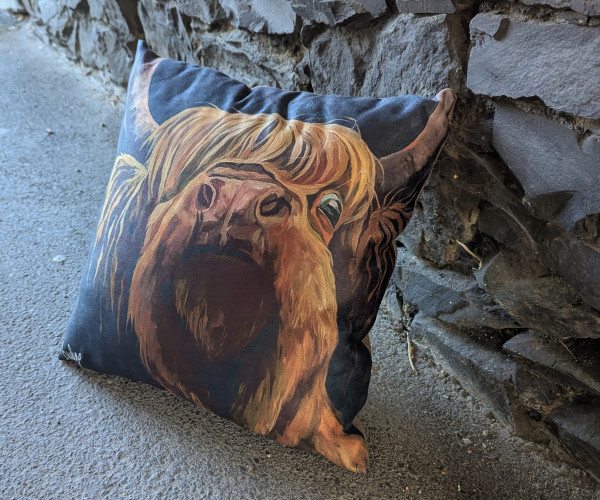 the highland cow way revisited again