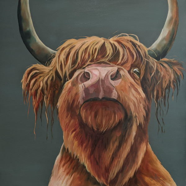 The highland cow way revisited too