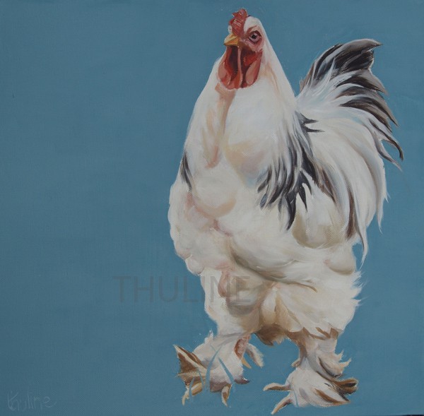 why chicken canvas print
