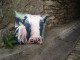 forgive me too cushion
