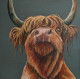 The highland cow way revisited too