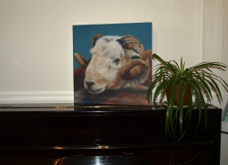 sheep: lean on me canvas print